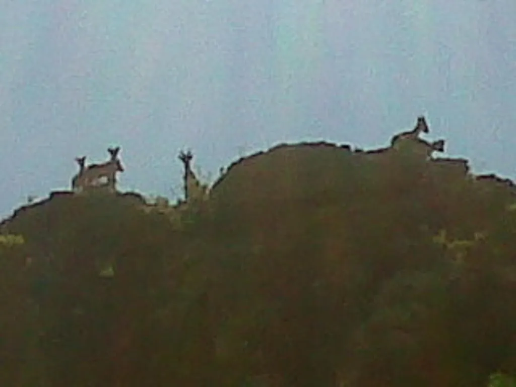 El Mirador De Murtas Guest House 0*,  Spain